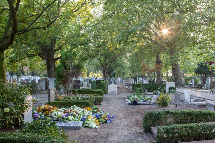 Begraafplaats Cemetery